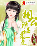 相公,请温柔一点
