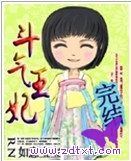 斗气王妃