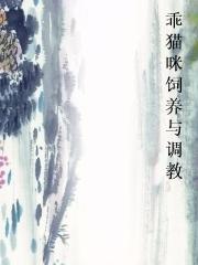 乖猫咪饲养与调教txt下载