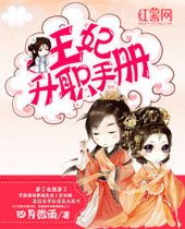 王妃升职手册