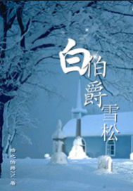 白伯爵雪松
